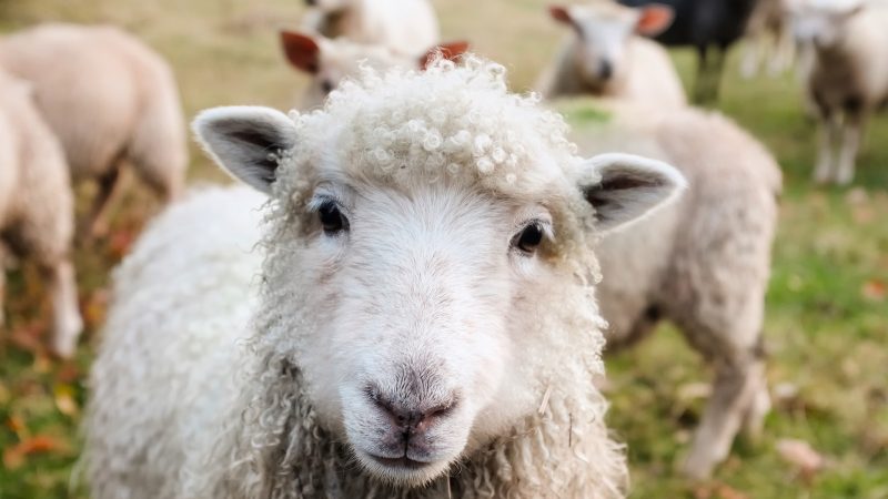 Natječaji u ruralnom turizmu 2019
