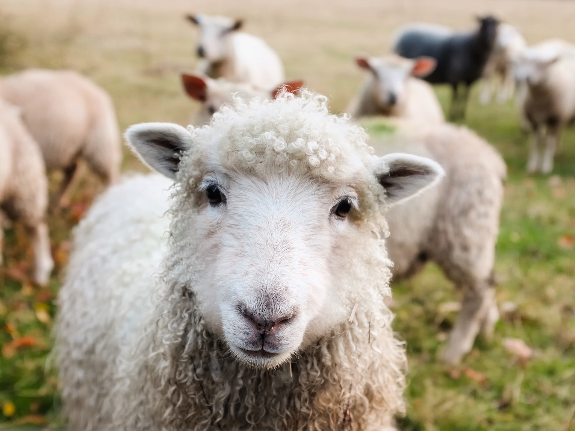 Natječaji u ruralnom turizmu 2019
